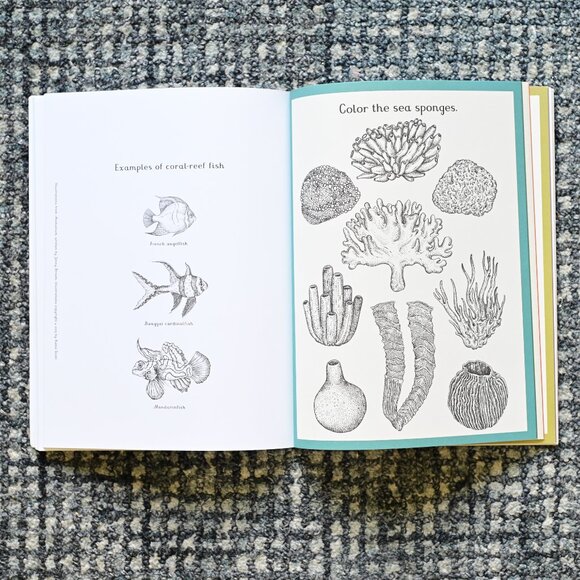 Botanicum & Animalium Activity Book Set – Like New, Never Used - Picture 4 of 8